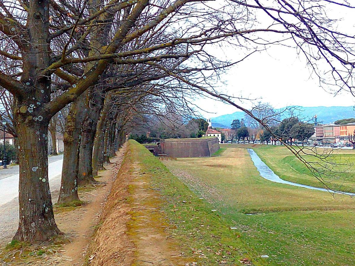 Casa Letizia * Lucca